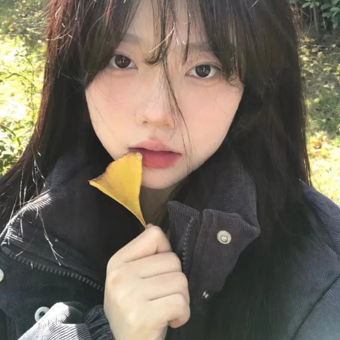 少年派2